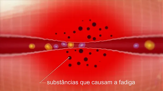 Substâncias causadoras de fadiga se acumulam