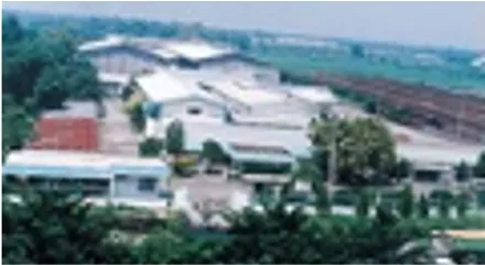 Started manufacturing <span class="text-trademark">Salonpas<sub>&reg;</sub></span> in Indonesia